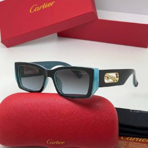Очки Cartier A1609