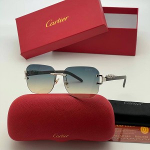 Очки Cartier Q1474
