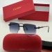 Солнцезащитные очки Cartier Q1729