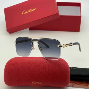 Очки Cartier Q1450