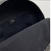 Рюкзак Christian Dior Oblique RP3769