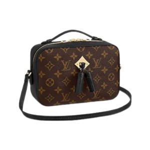 Сумка Louis Vuitton Saintonge Bag R2632
