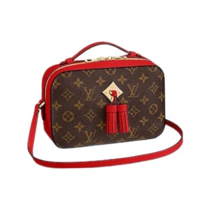 Сумка Louis Vuitton Saintonge Bag R2633