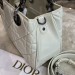 Сумка Christian Dior Lady 95.22 R3280