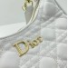 Сумка Christian Dior R2789