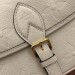 Сумка Louis Vuitton Diane RP5260