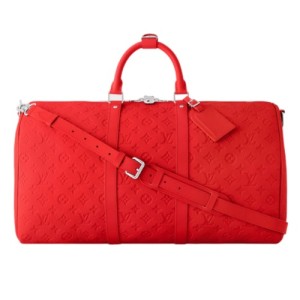 Дорожная сумка Louis Vuitton Keepal 50 RR6062